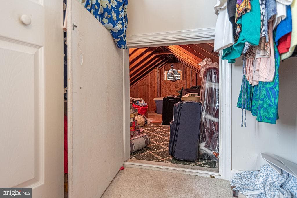 7 Leslie Mews photo 79