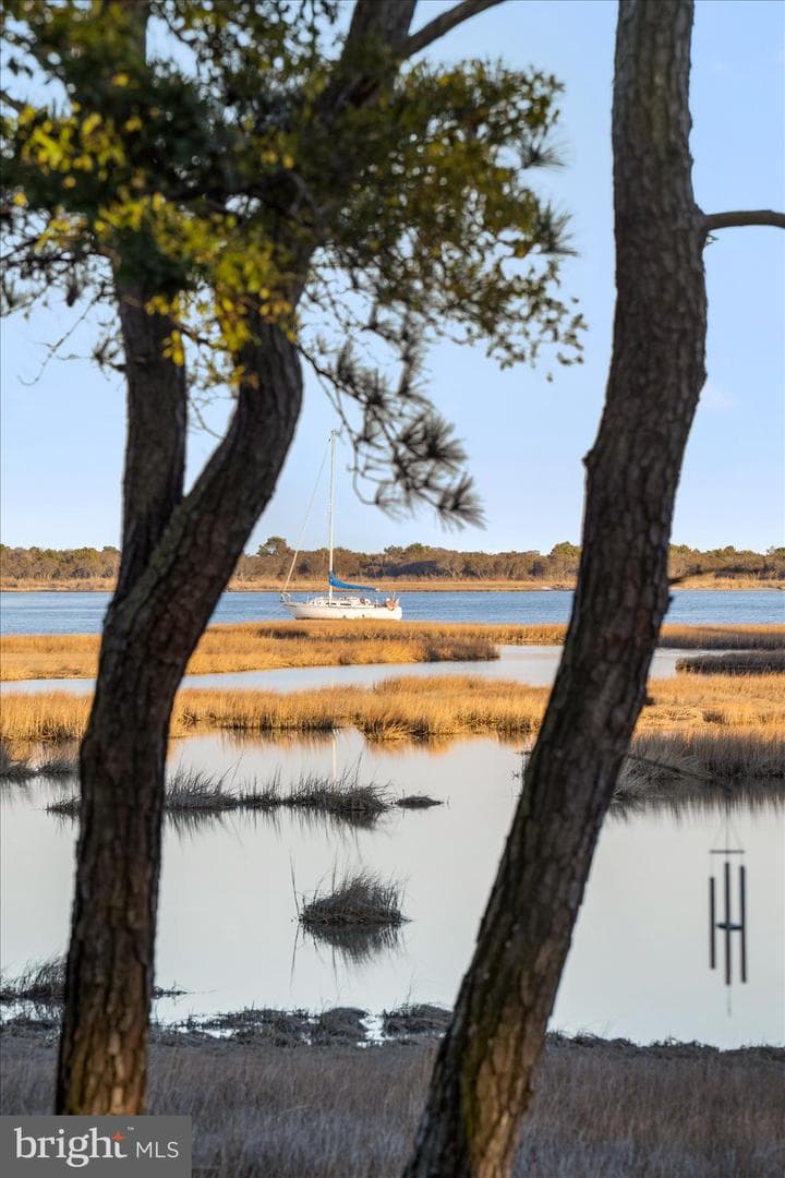 9515 Harbor Lights Drive photo 64