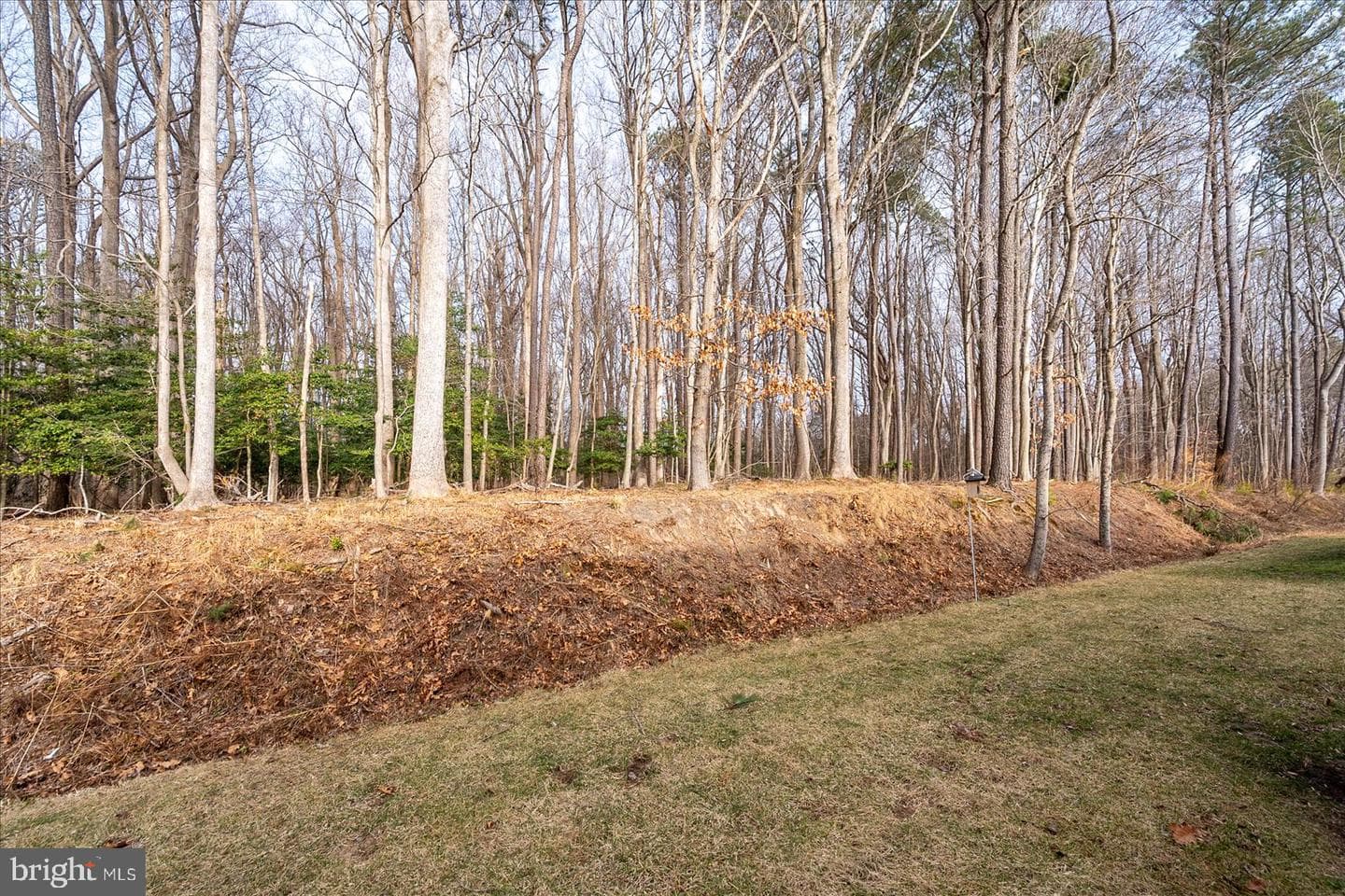 12736 Carnouste Ln #1 photo 50