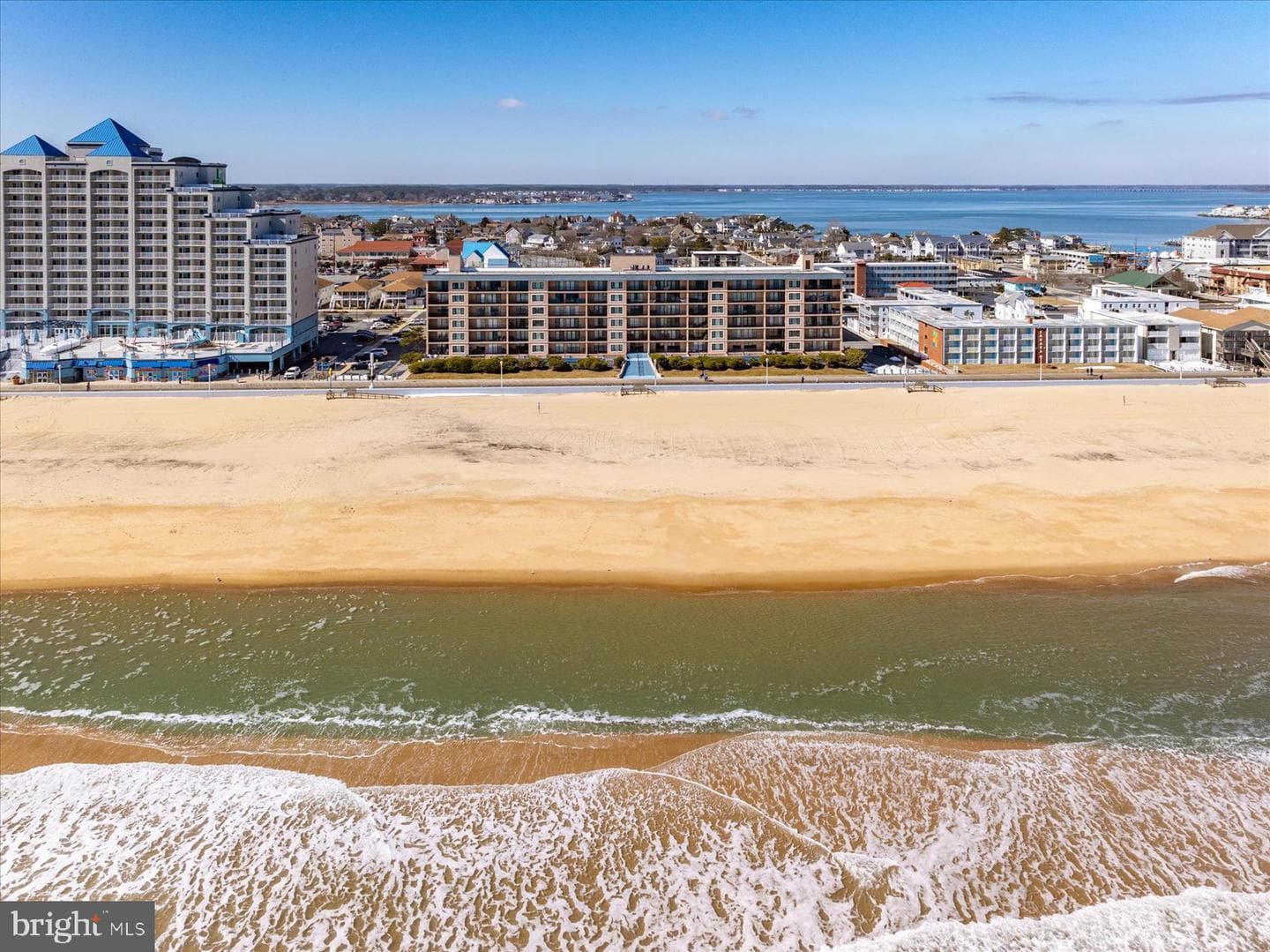 1801 Atlantic Avenue #402 photo 67