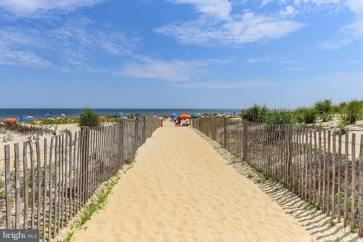 13110 Coastal Highway #312 photo 52