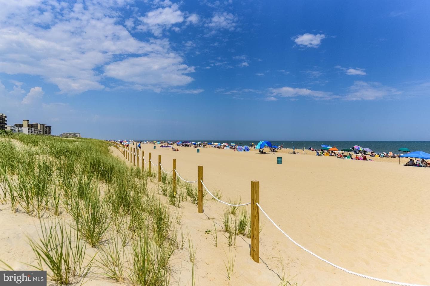 13110 Coastal Highway #312 photo 53