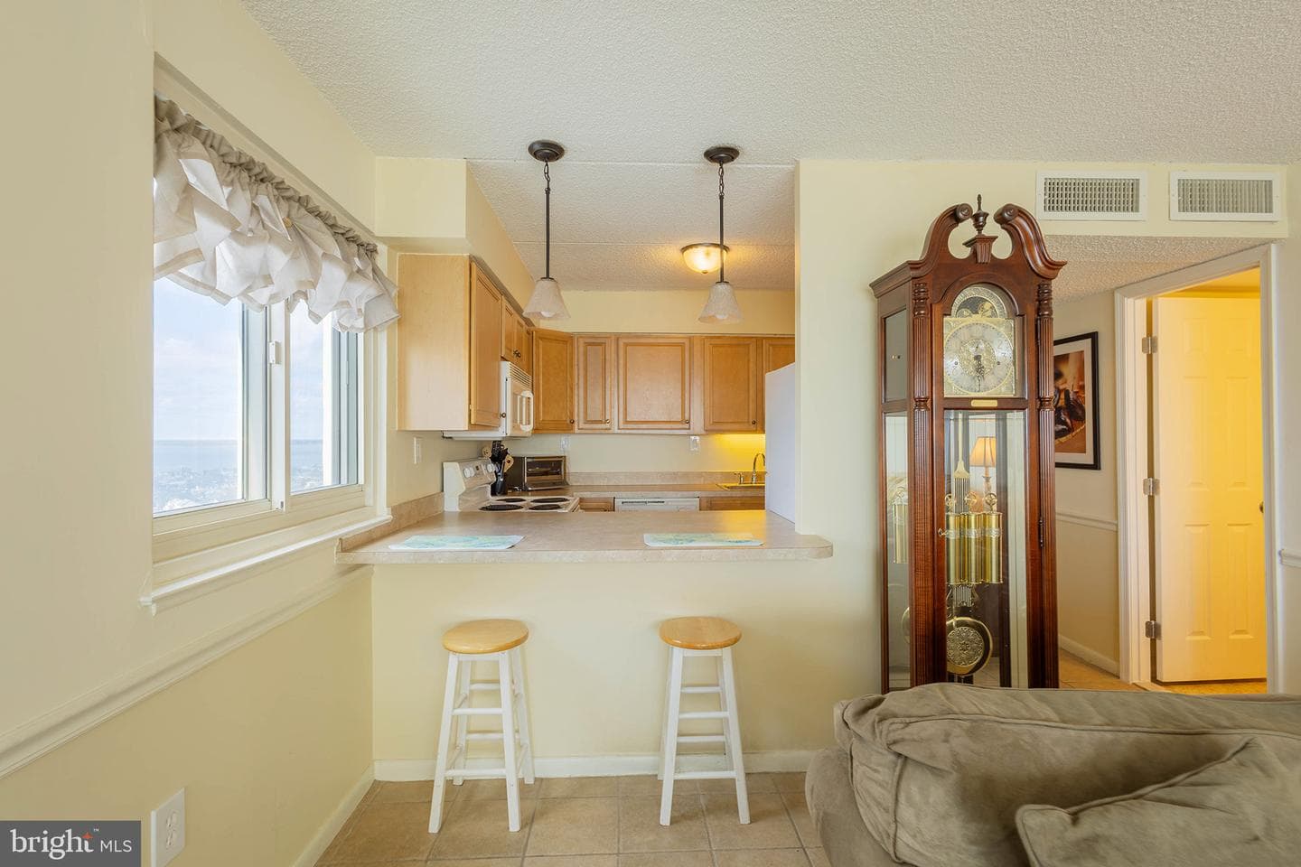 10300 Coastal Highway #1701 photo 7