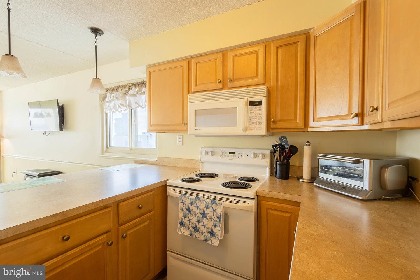10300 Coastal Highway #1701 photo 8