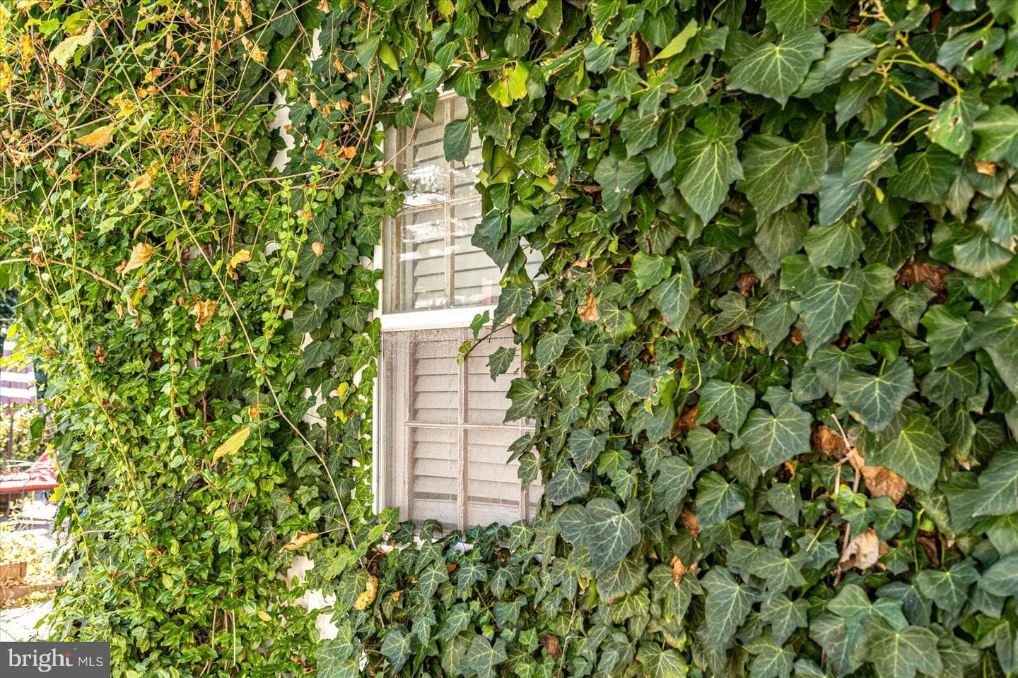 209 W Federal Street photo 87