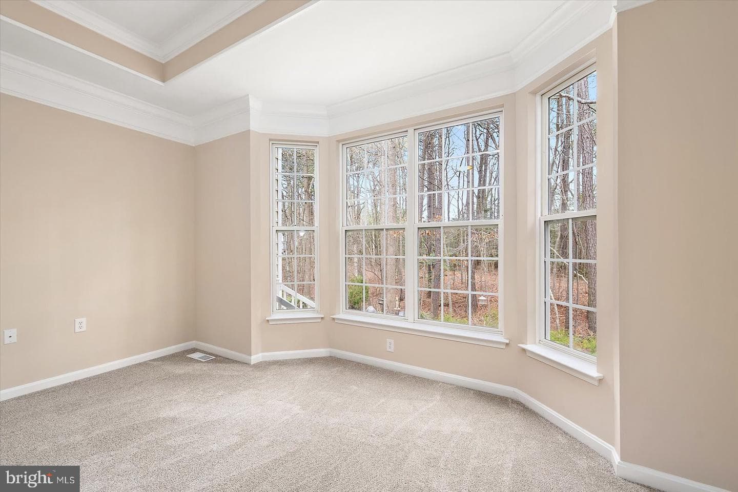 5 Chatham Court photo 23