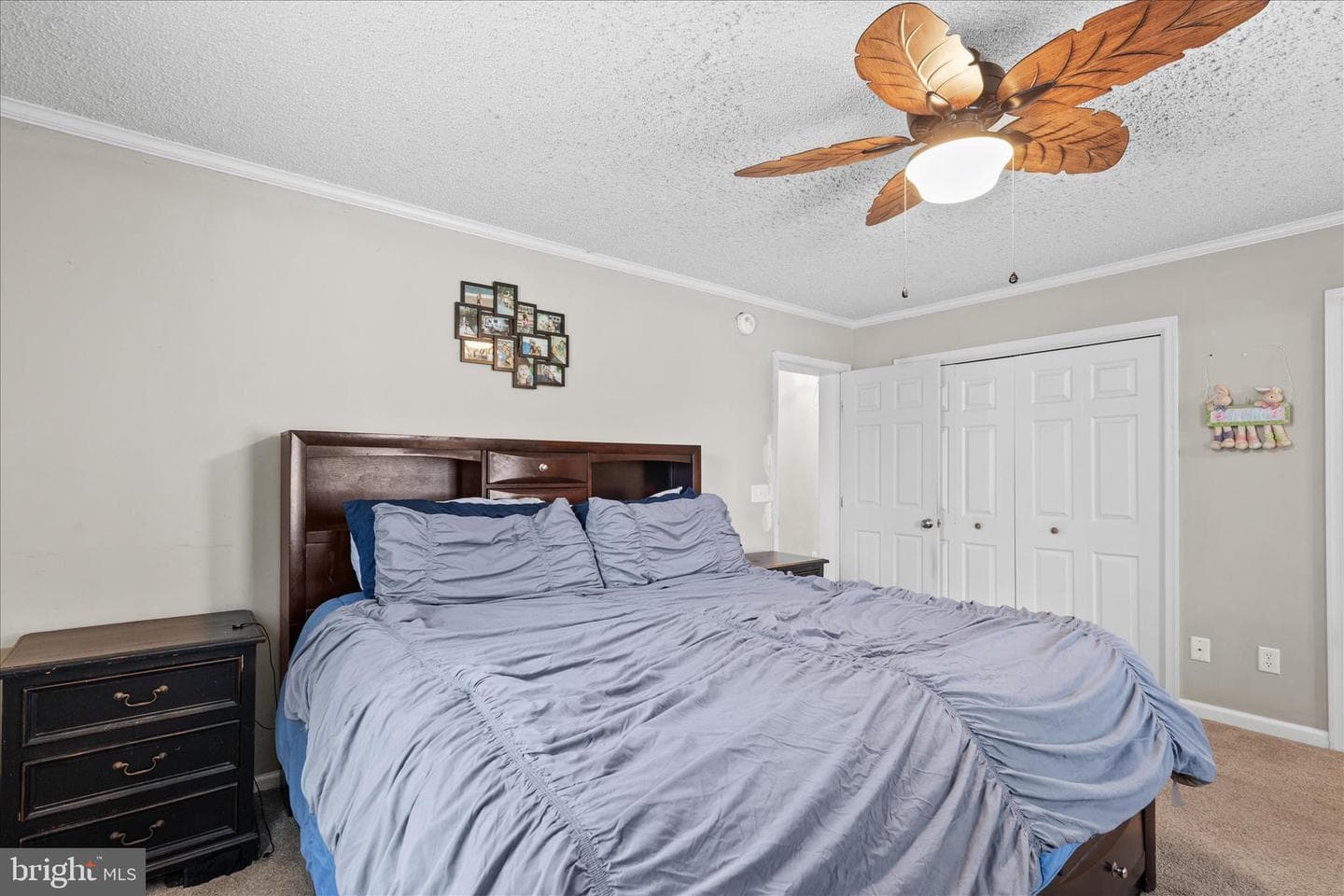 12647 Old Stage Road photo 36