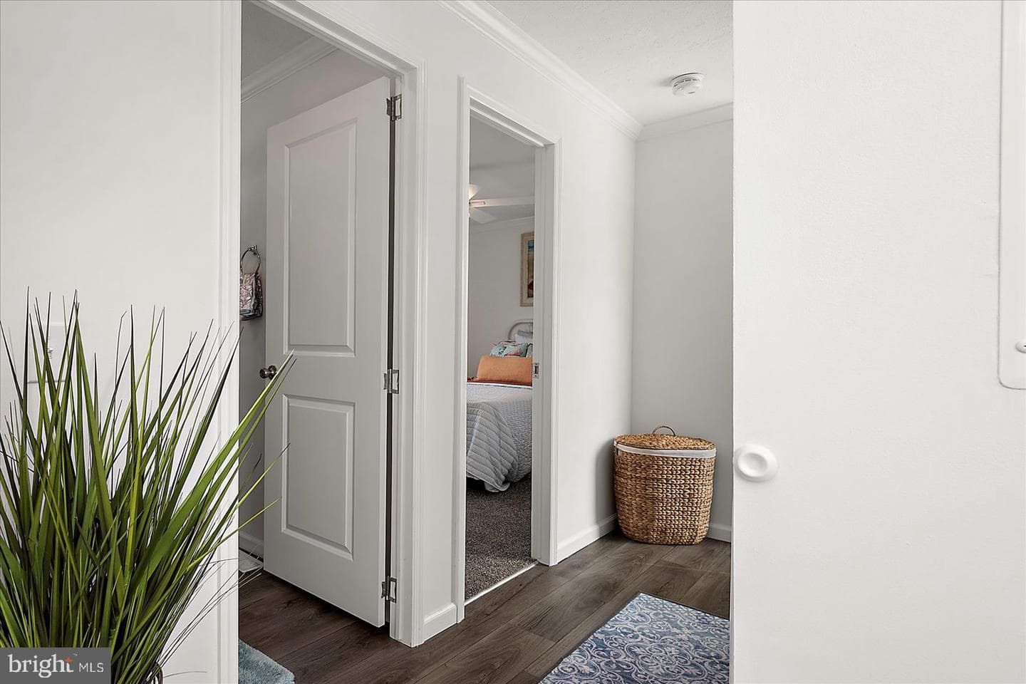 12427 Beach Life Lane photo 23
