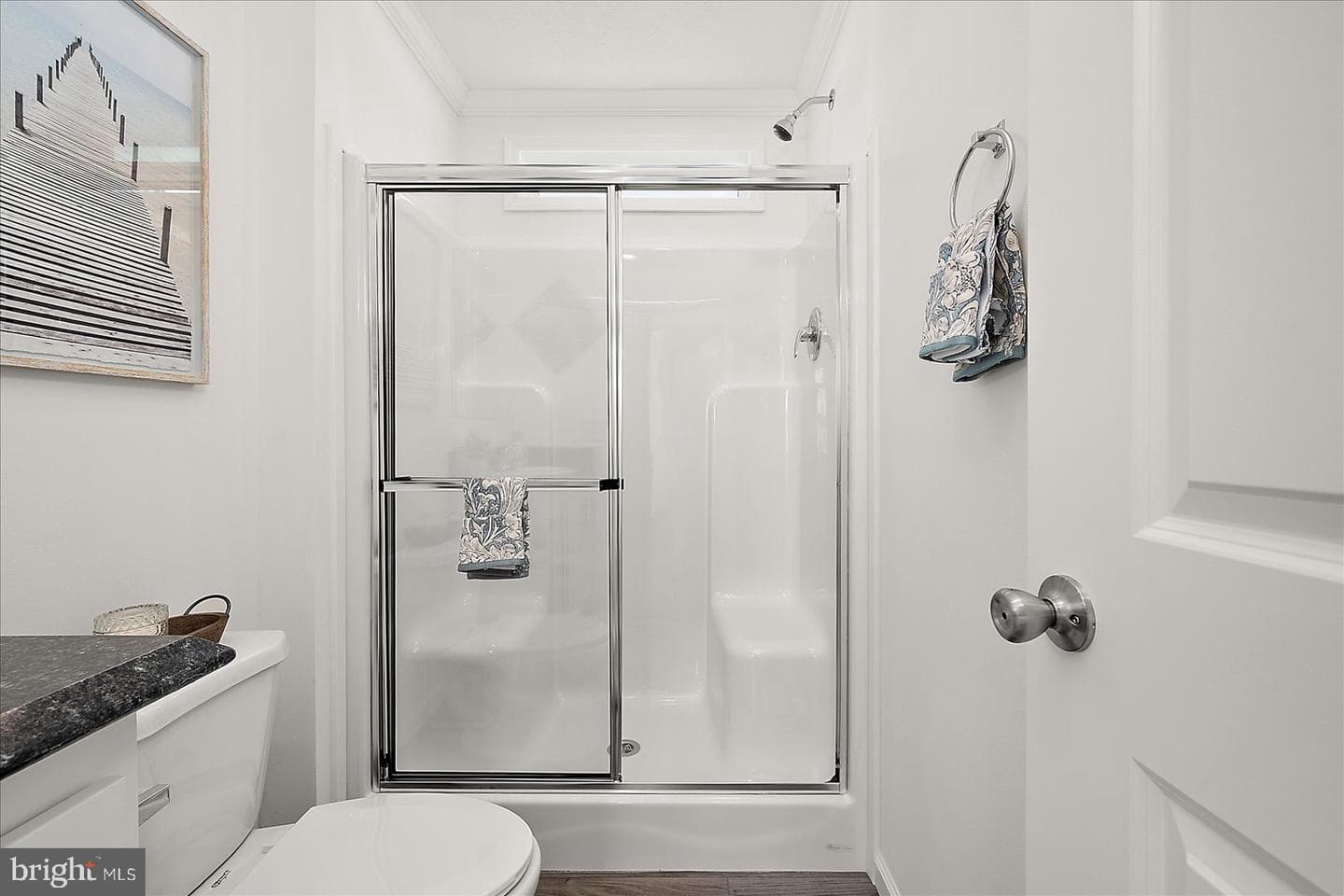 12421 Beach Life Lane photo 28