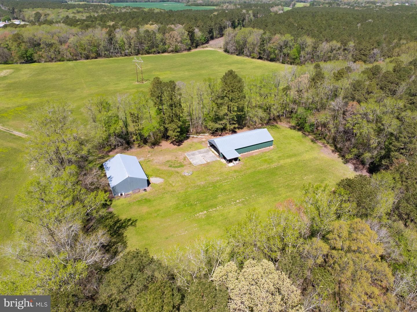 1324 Hillman Road photo 5