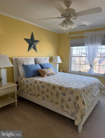 13031 Hayes Avenue #8 photo 67
