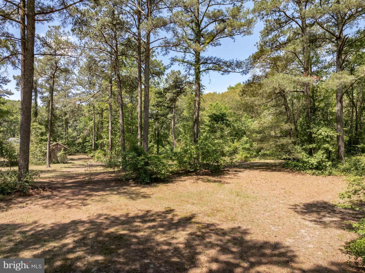 6635 Libertytown Road photo 71