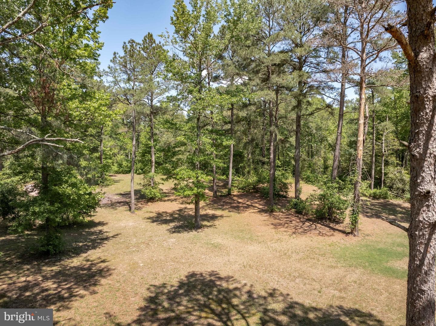 6635 Libertytown Road photo 81