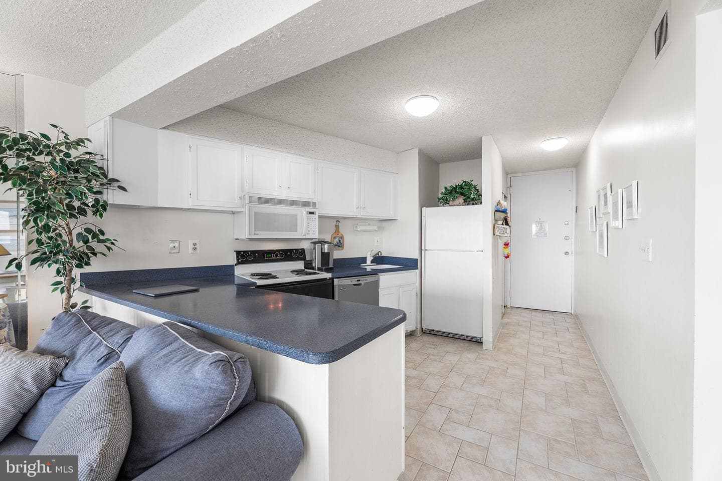 8500 Coastal Highway #1108 photo 12