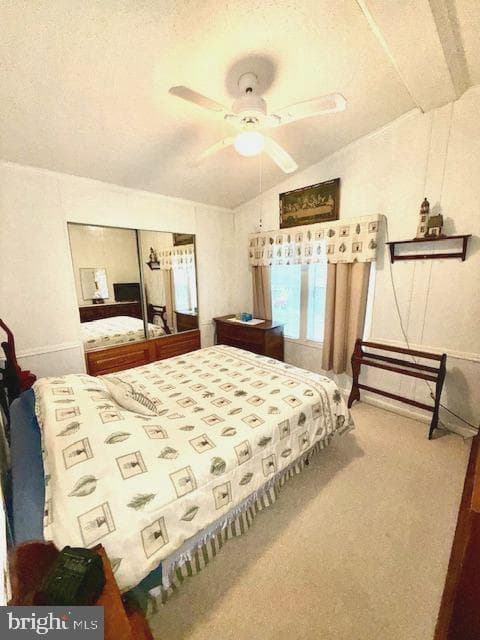 216 Timberline Circle photo 16