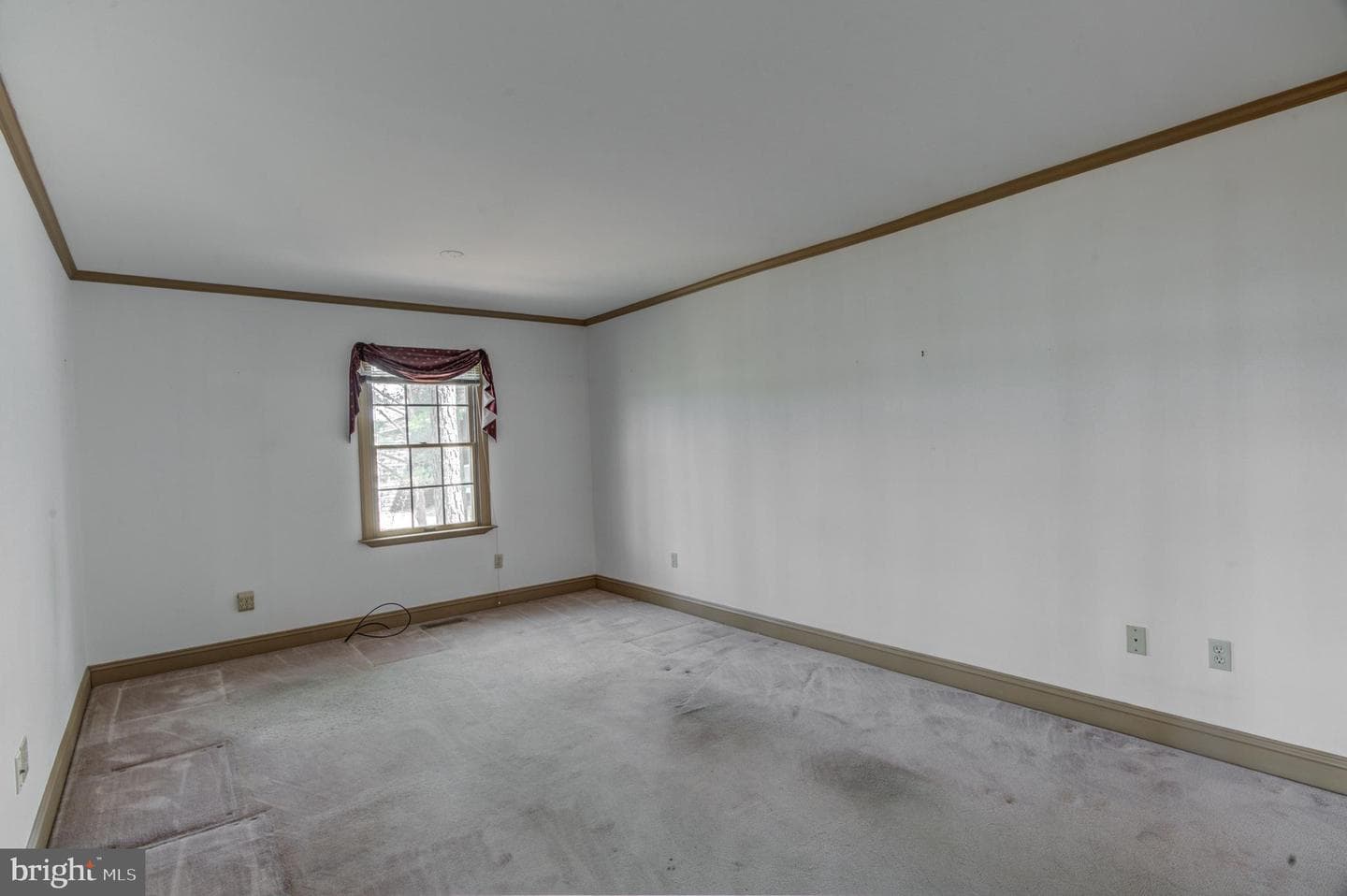 38 Salt Grass Road photo 24