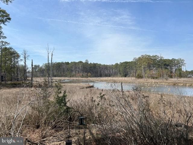 38 Salt Grass Road photo 70