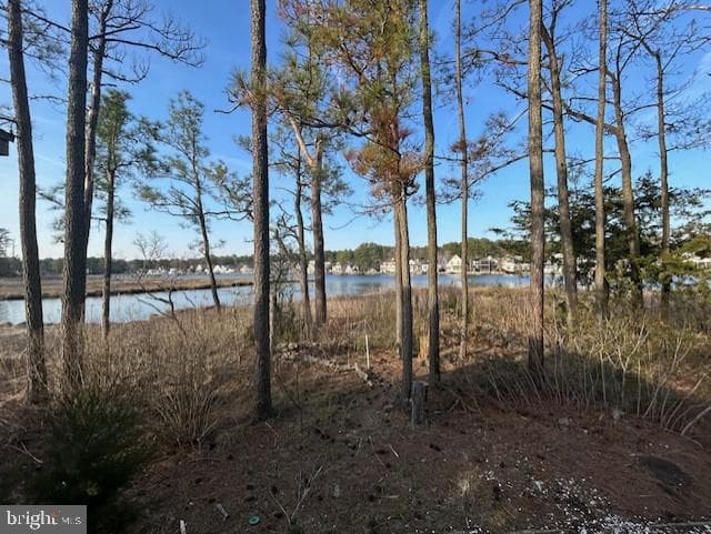 38 Salt Grass Road photo 73