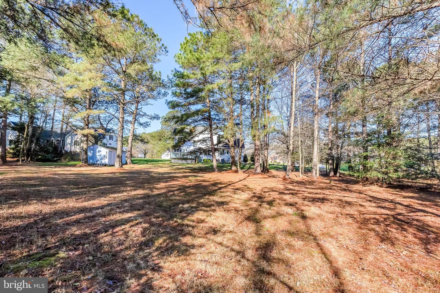 2120 Orchard Drive photo 39