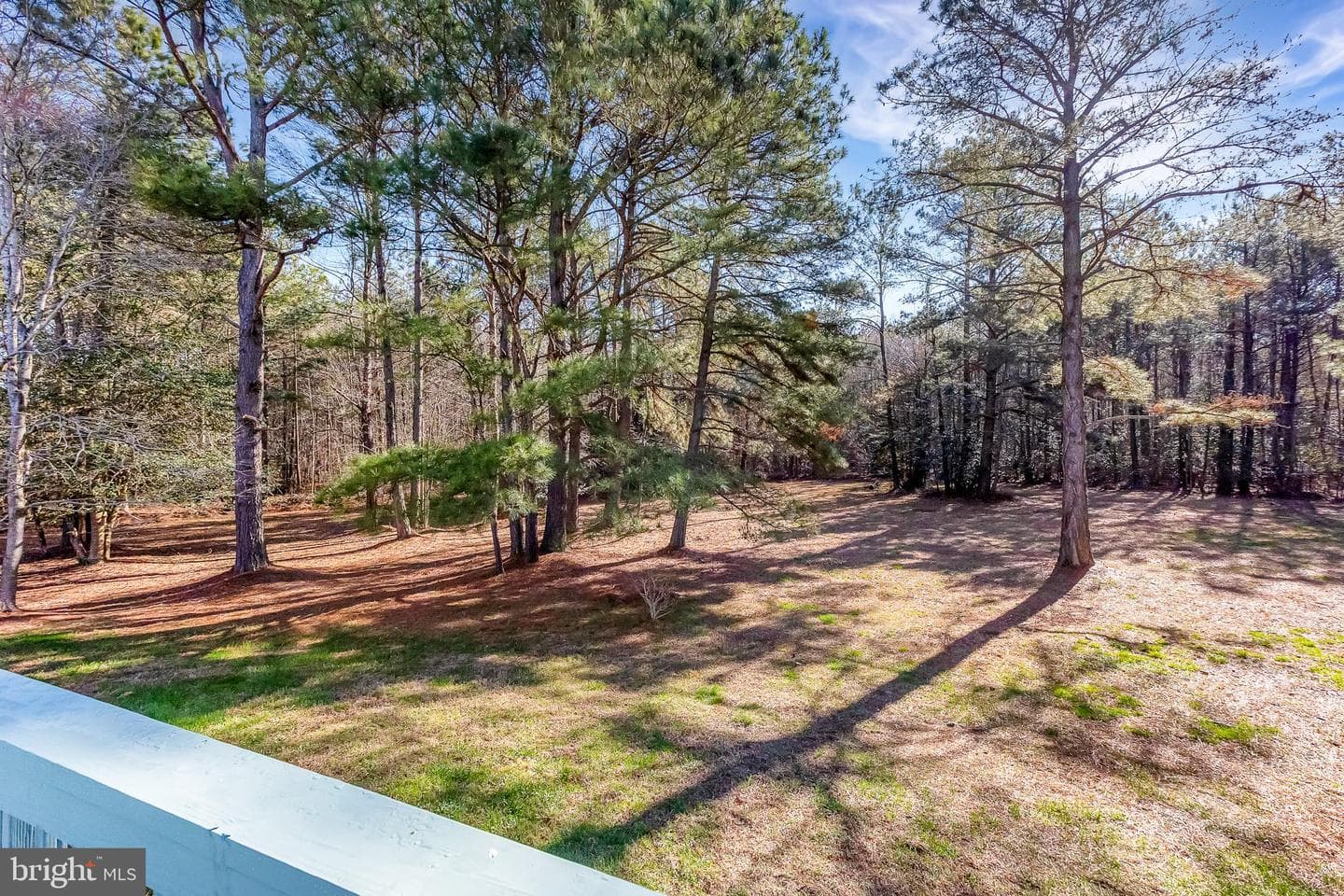 2120 Orchard Drive photo 6