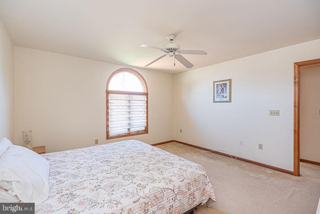 31 Watergreen Lane photo 28