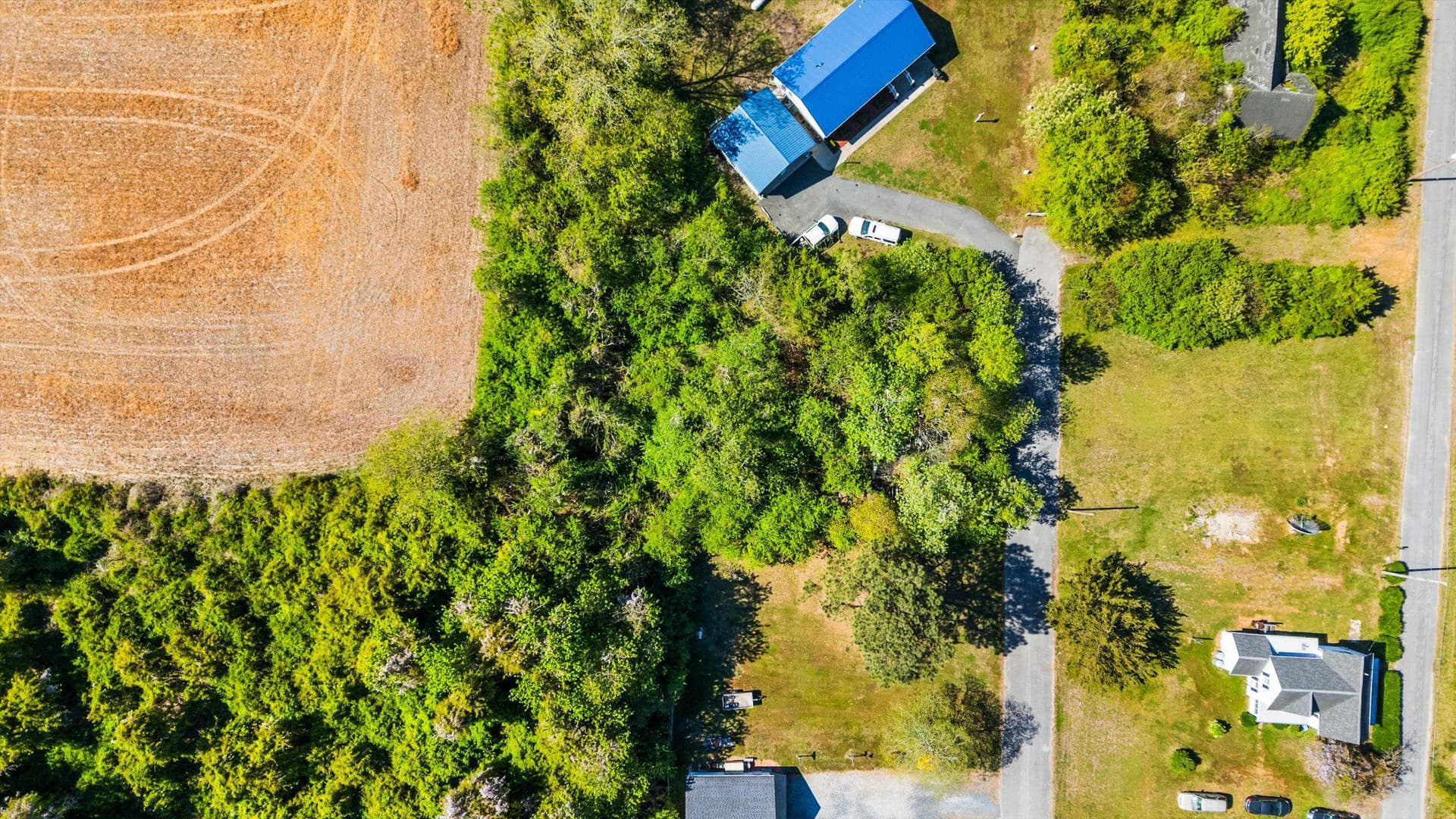 1548 Grant Rd photo 4