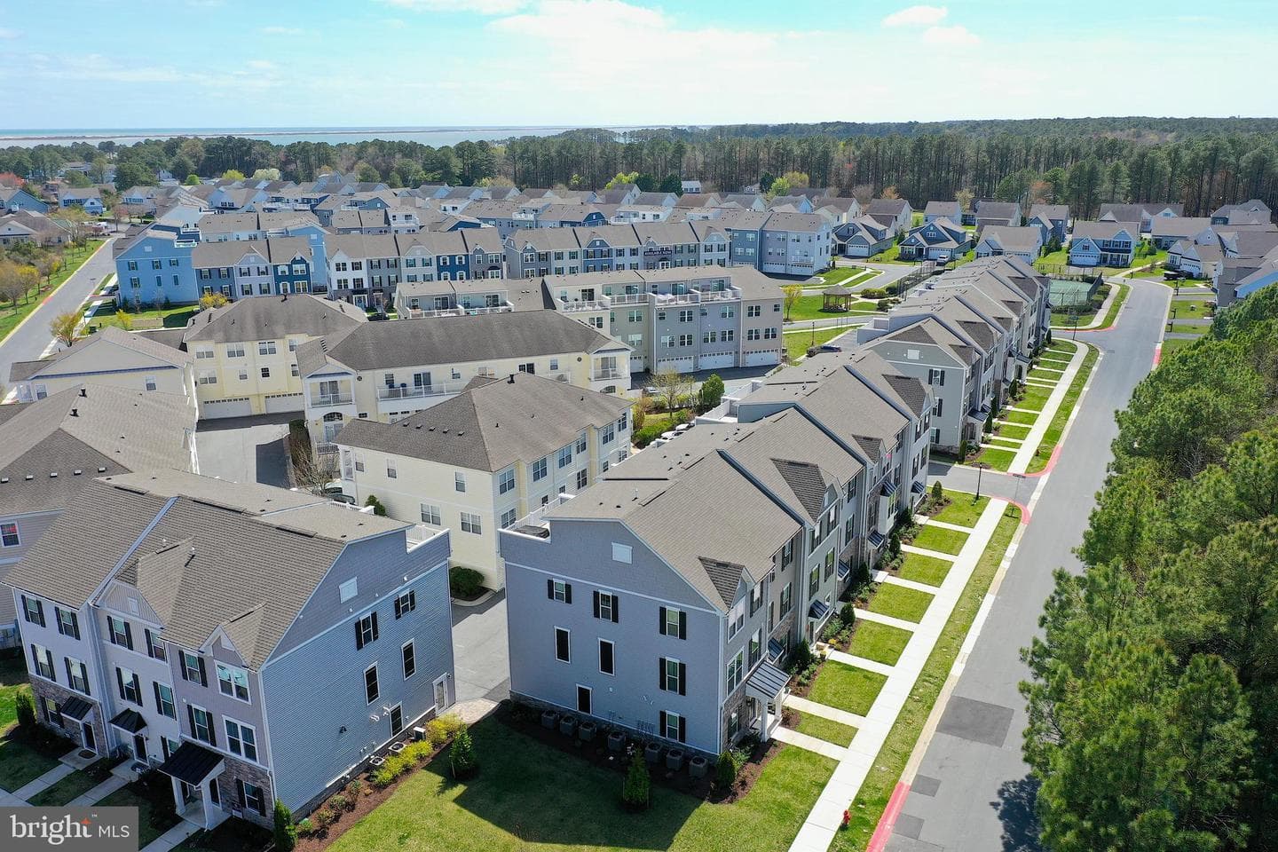 12461 Coastal Marsh Drive #101 photo 92