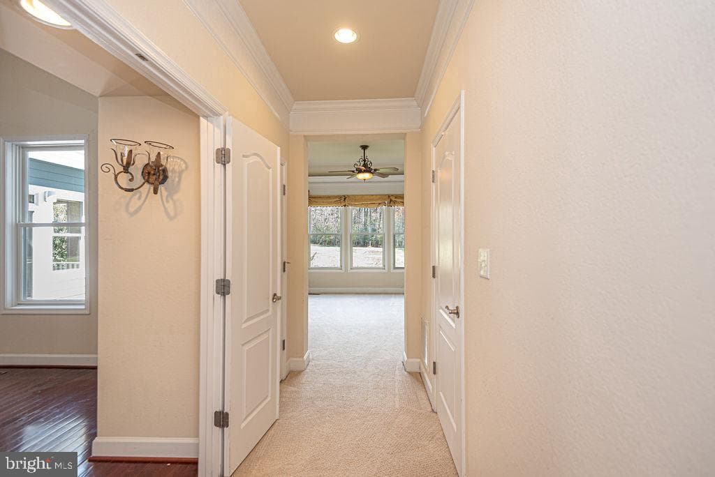 11834 Man O War Lane photo 51