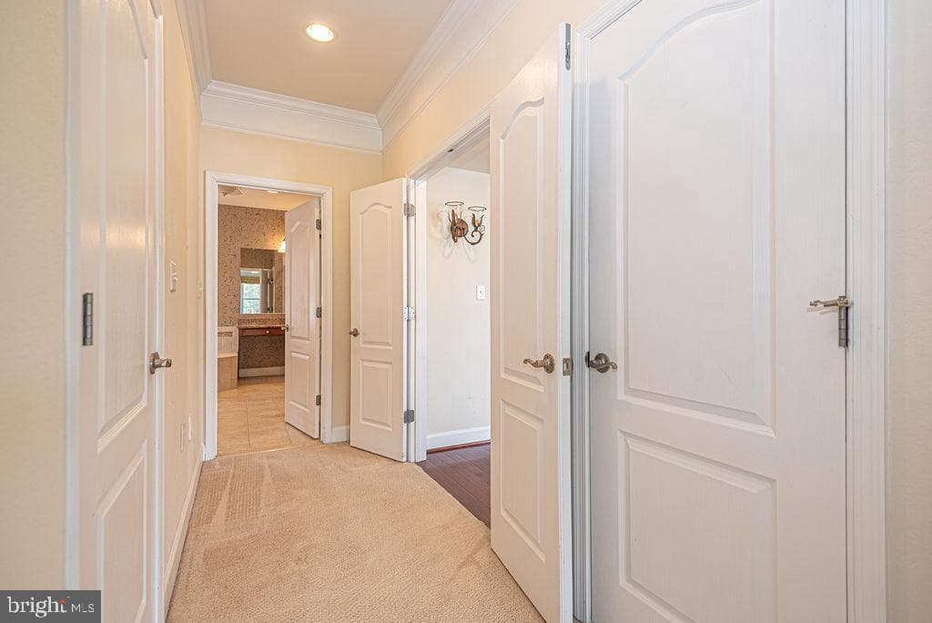 11834 Man O War Lane photo 57