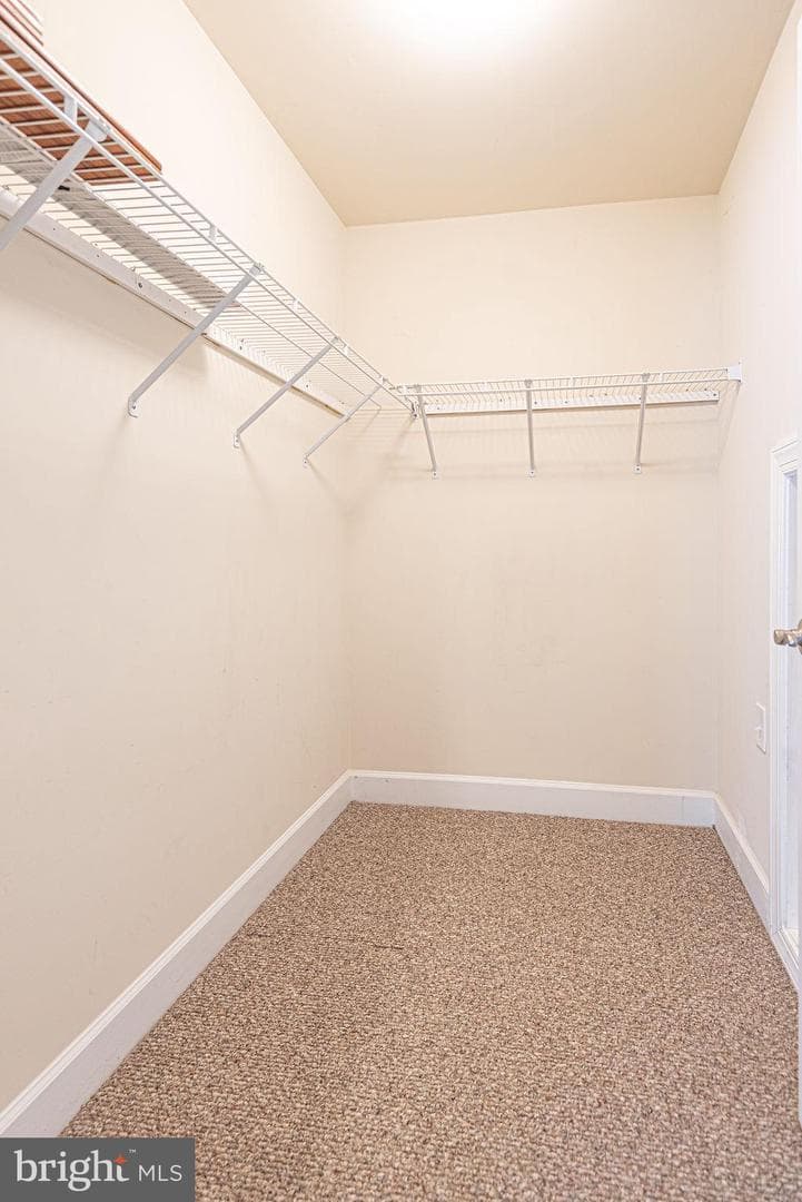 11834 Man O War Lane photo 72