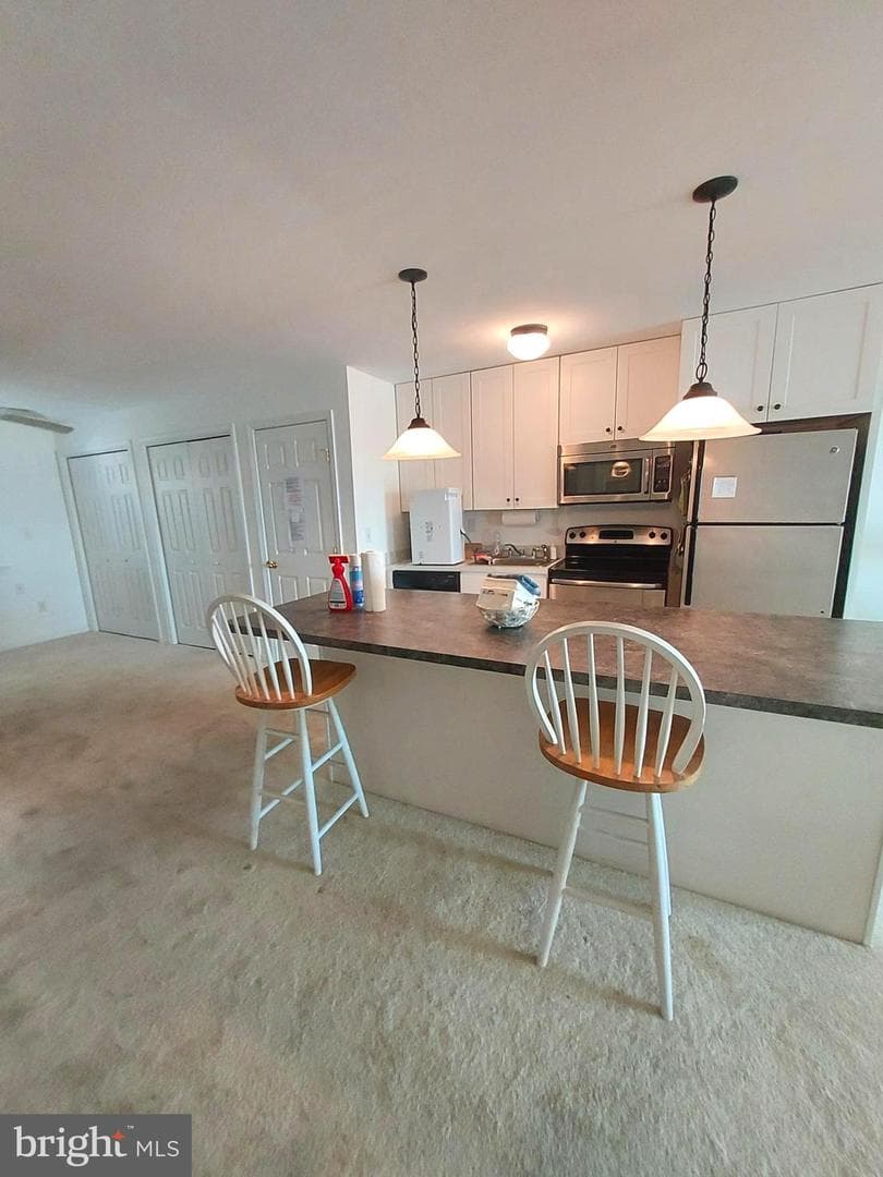 421 Bayshore Drive #102 photo 15