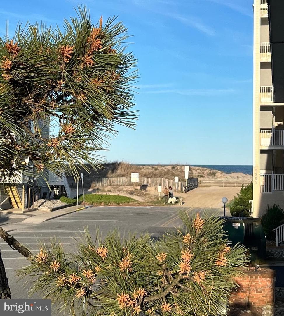 11 40th Street #2, Ocean City