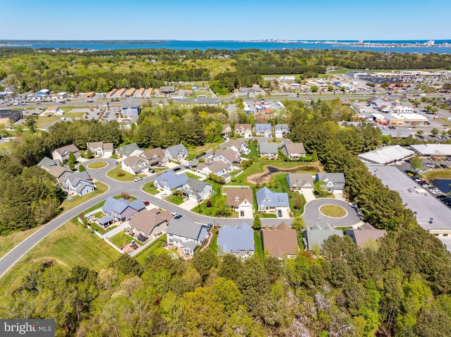 12506 Sea Buoy Court photo 53