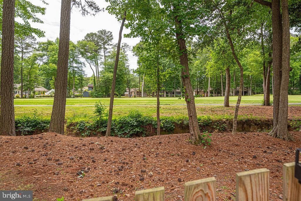 62 Newport Drive photo 21