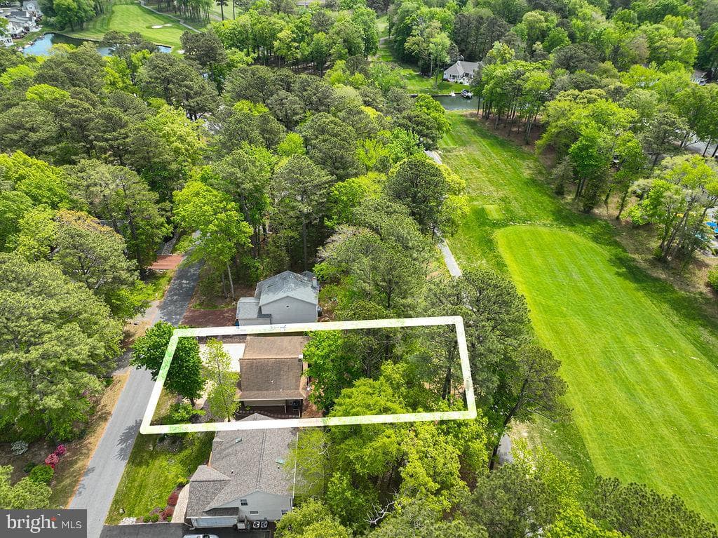 62 Newport Drive photo 33
