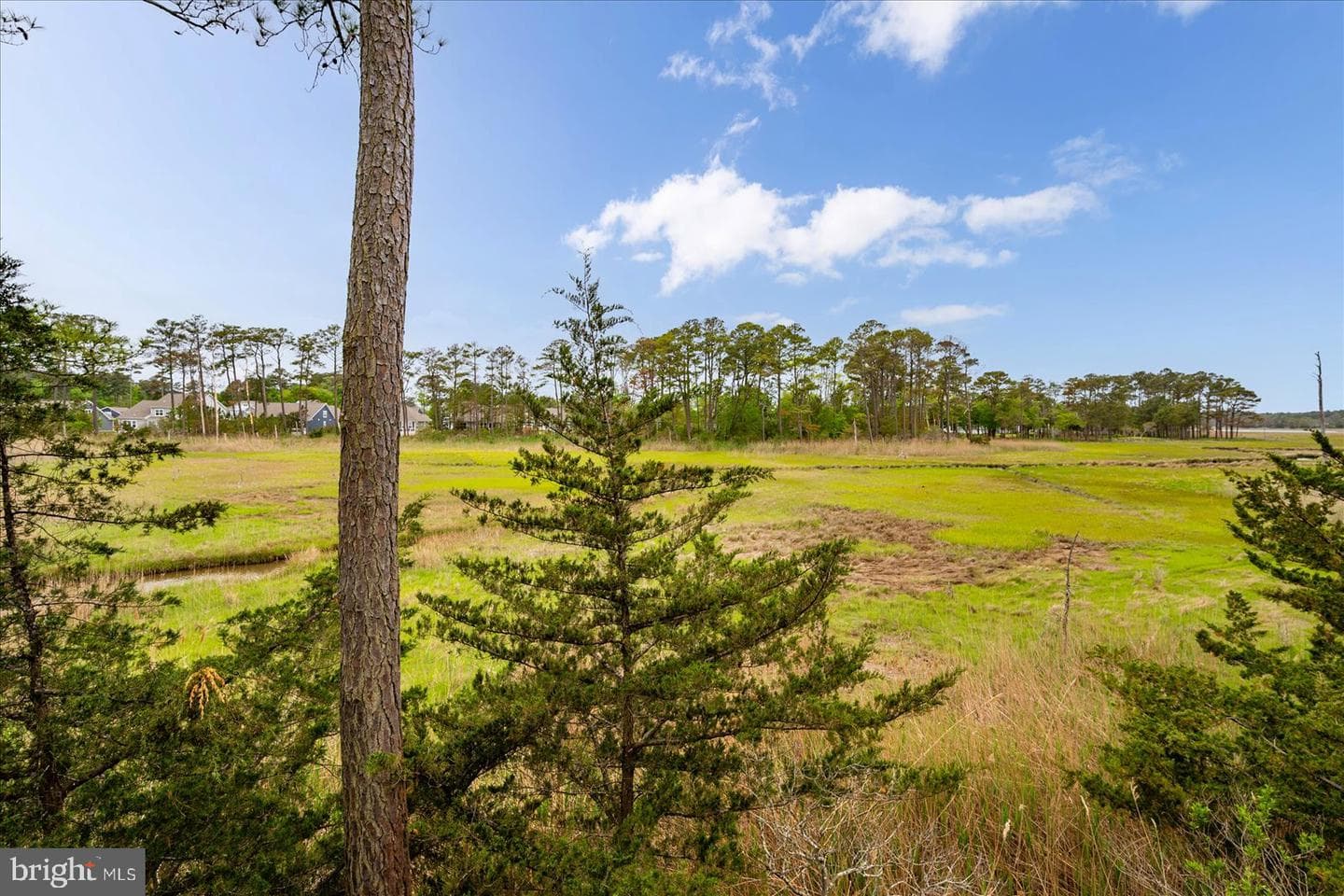10317 Quarter Deck Ln photo 67