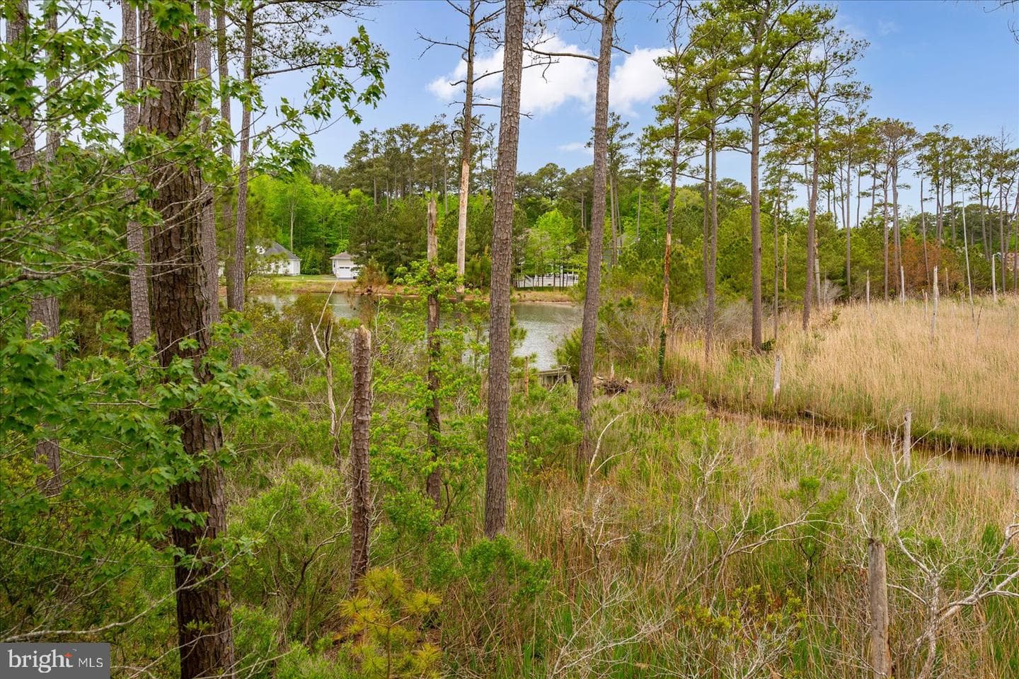 10317 Quarter Deck Ln photo 69