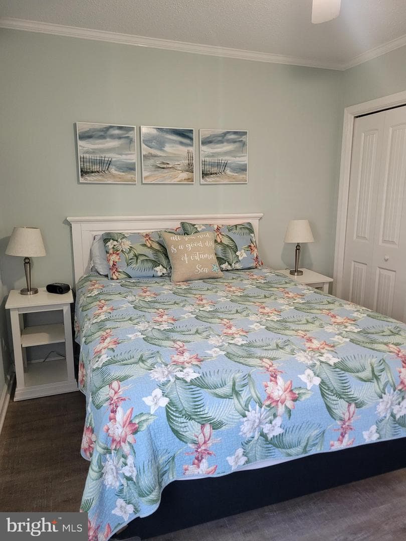 504 Lark Lane #8 photo 6