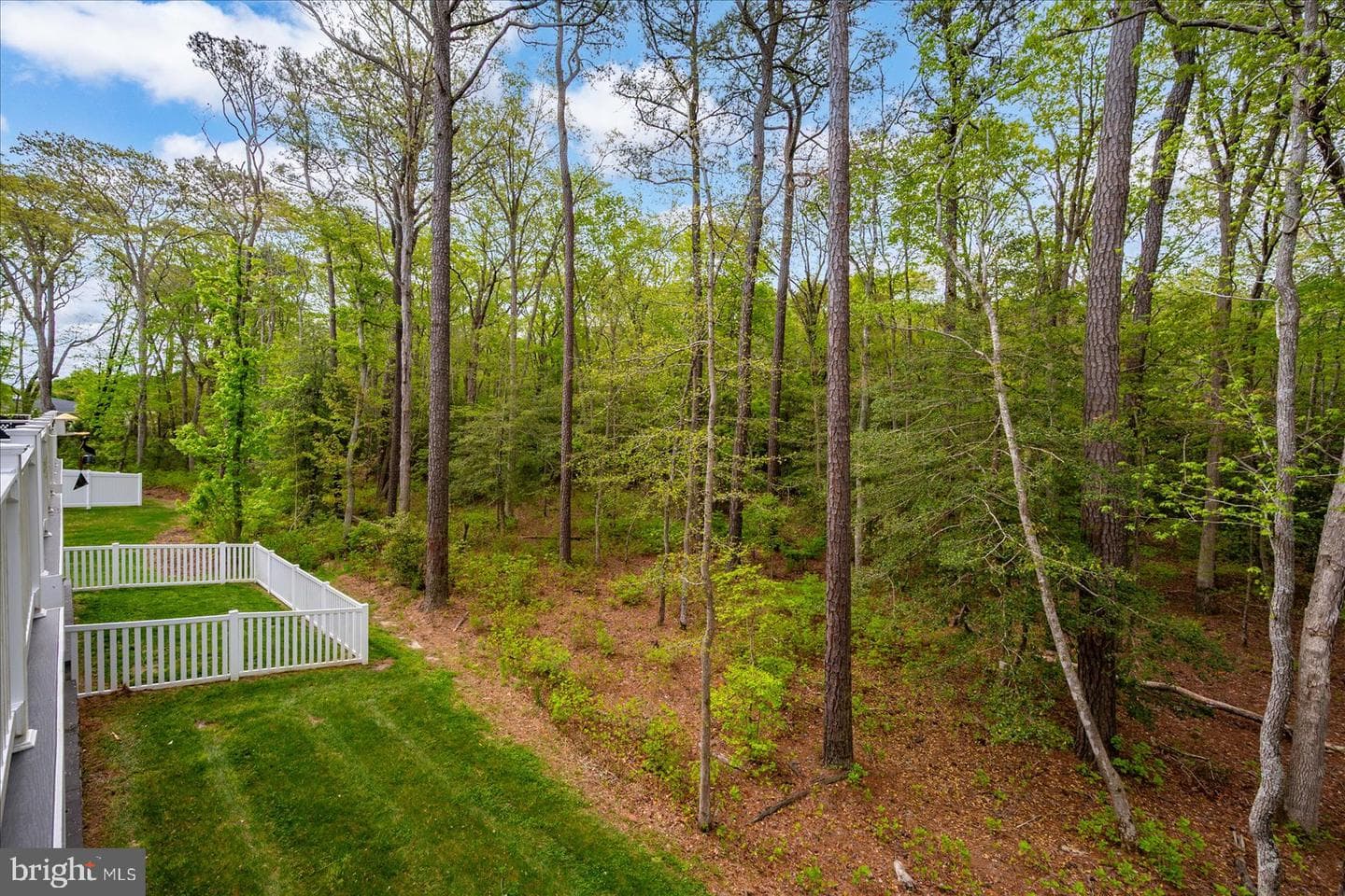 12451 Sea Oaks Lane #3 photo 36
