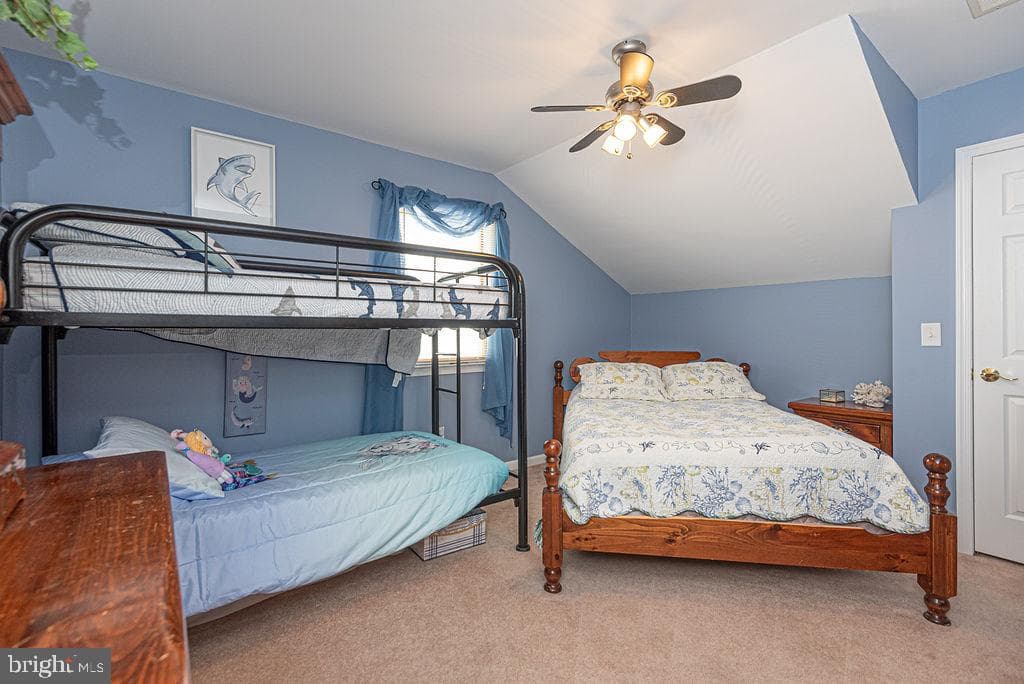 46 Teal Circle photo 74