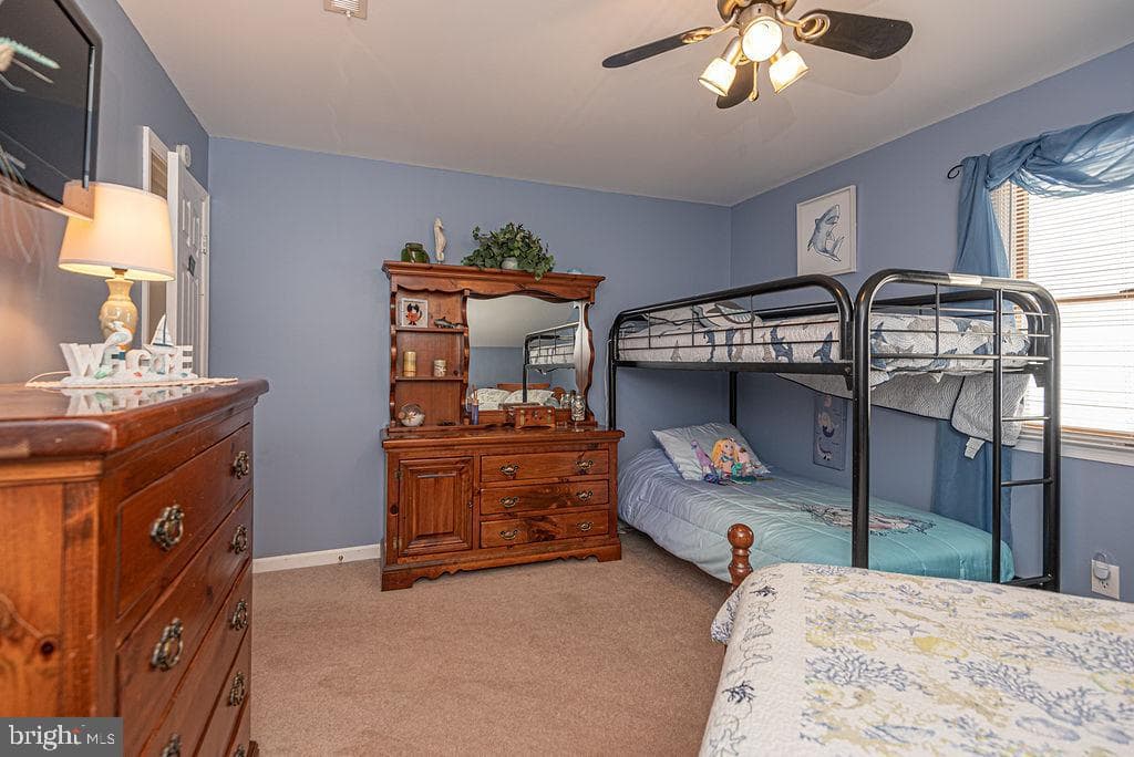 46 Teal Circle photo 76