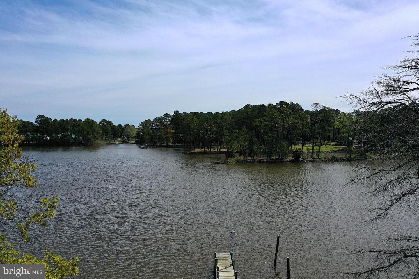 12203 Nanas Way Lane photo 121