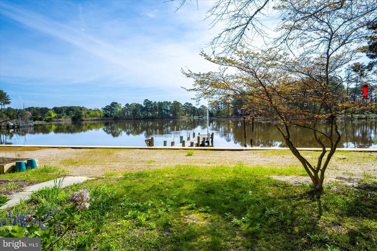 12203 Nanas Way Lane photo 41