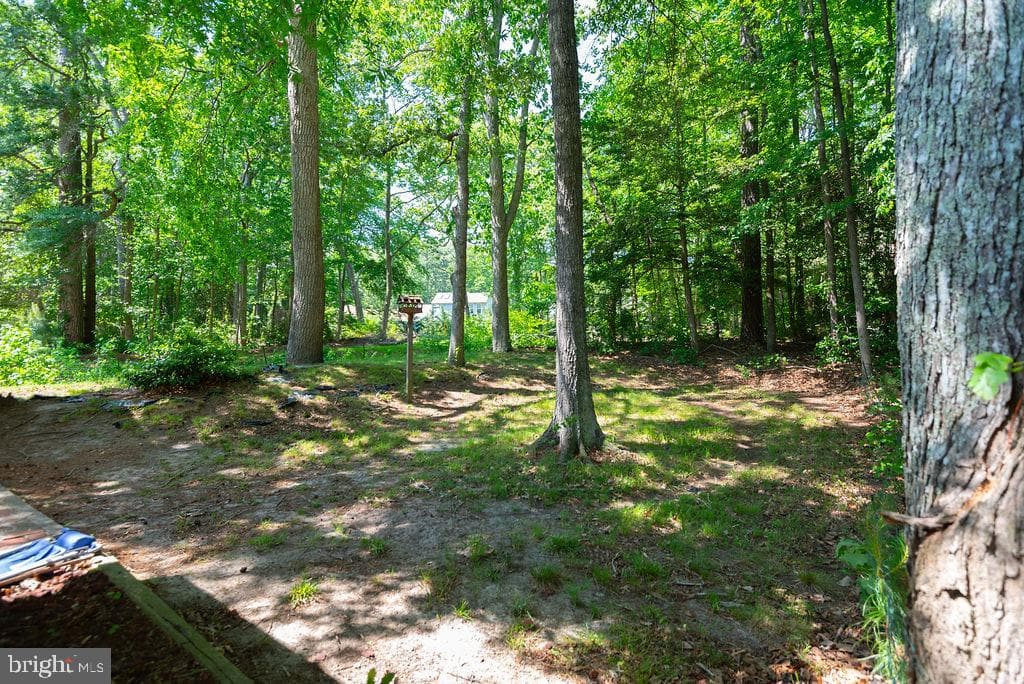 17 Greenwood Lane photo 4