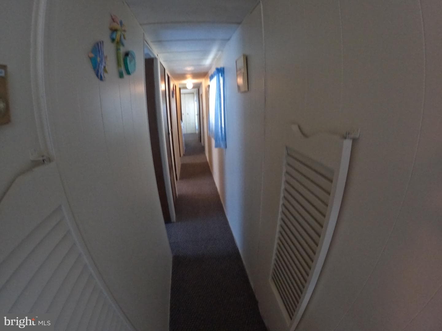 163 Clam Shell Rd photo 13