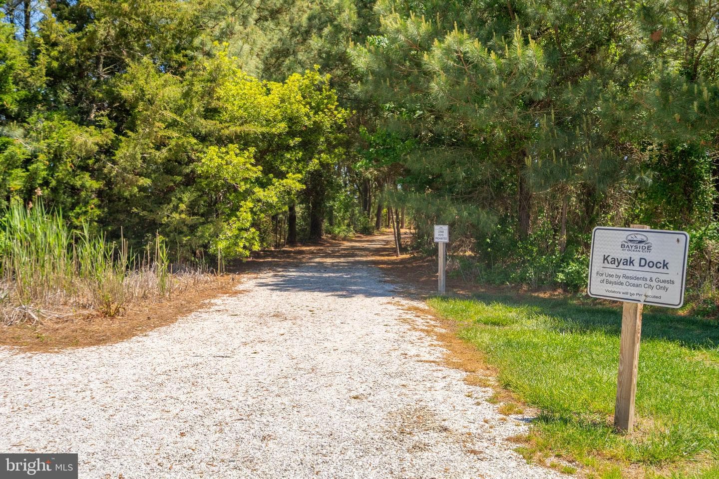 12159 Snug Harbor Road photo 62