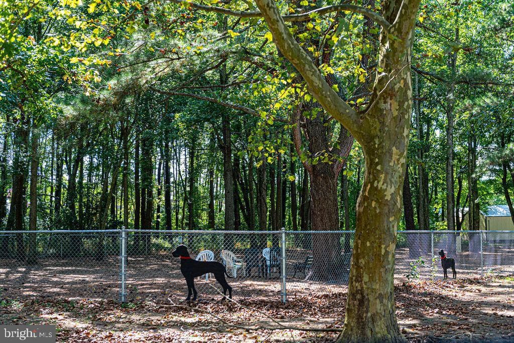 25 Rabbit Run Lane photo 78