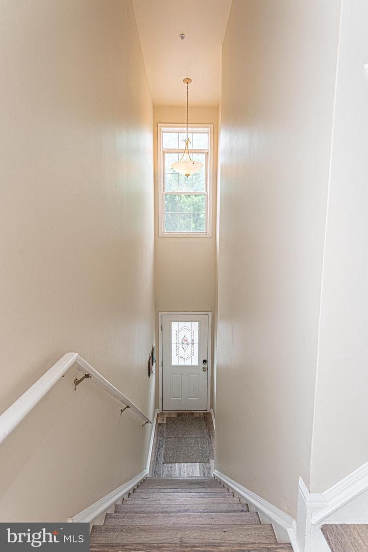 400 Williams Street #2 photo 21