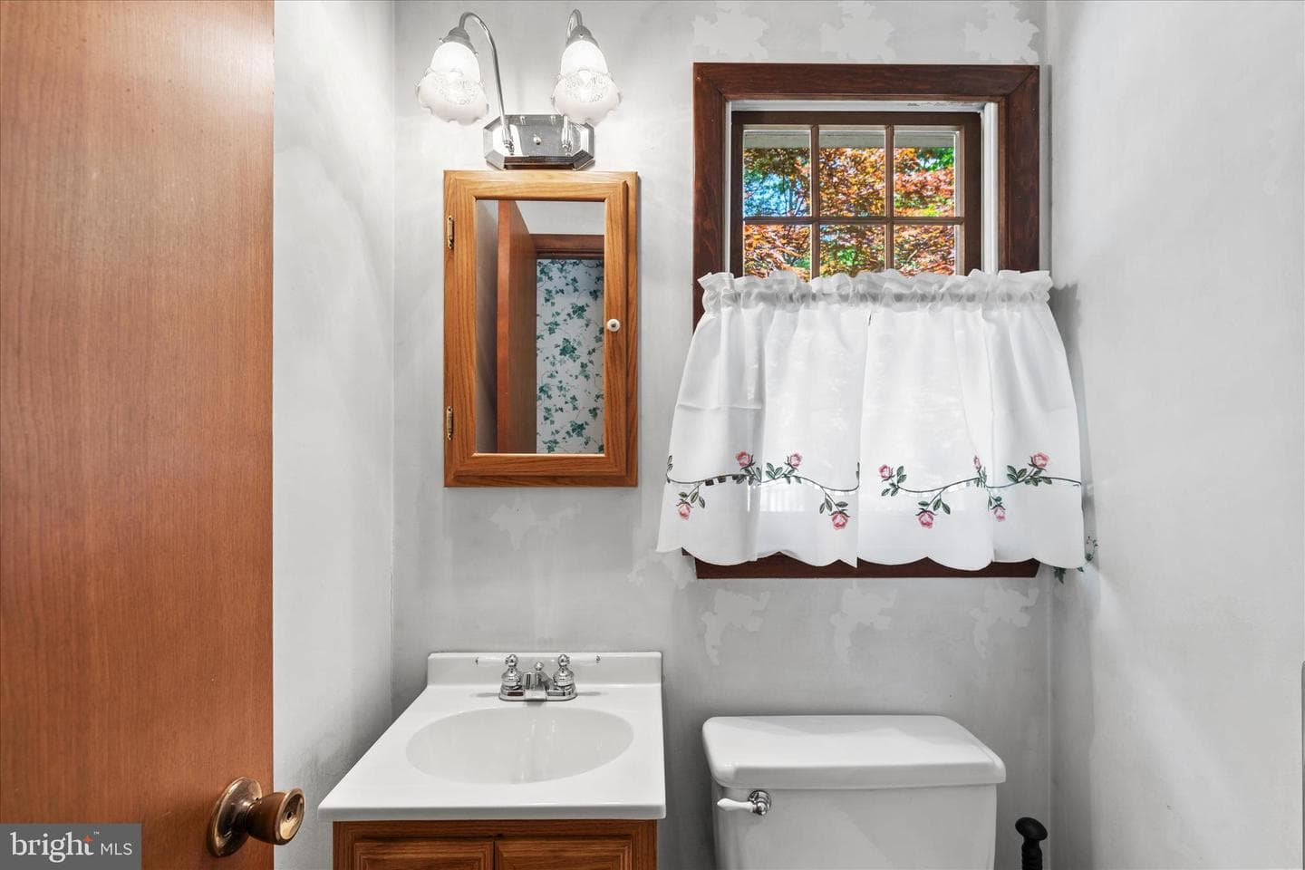 3821 Nassawango Hills Drive photo 40
