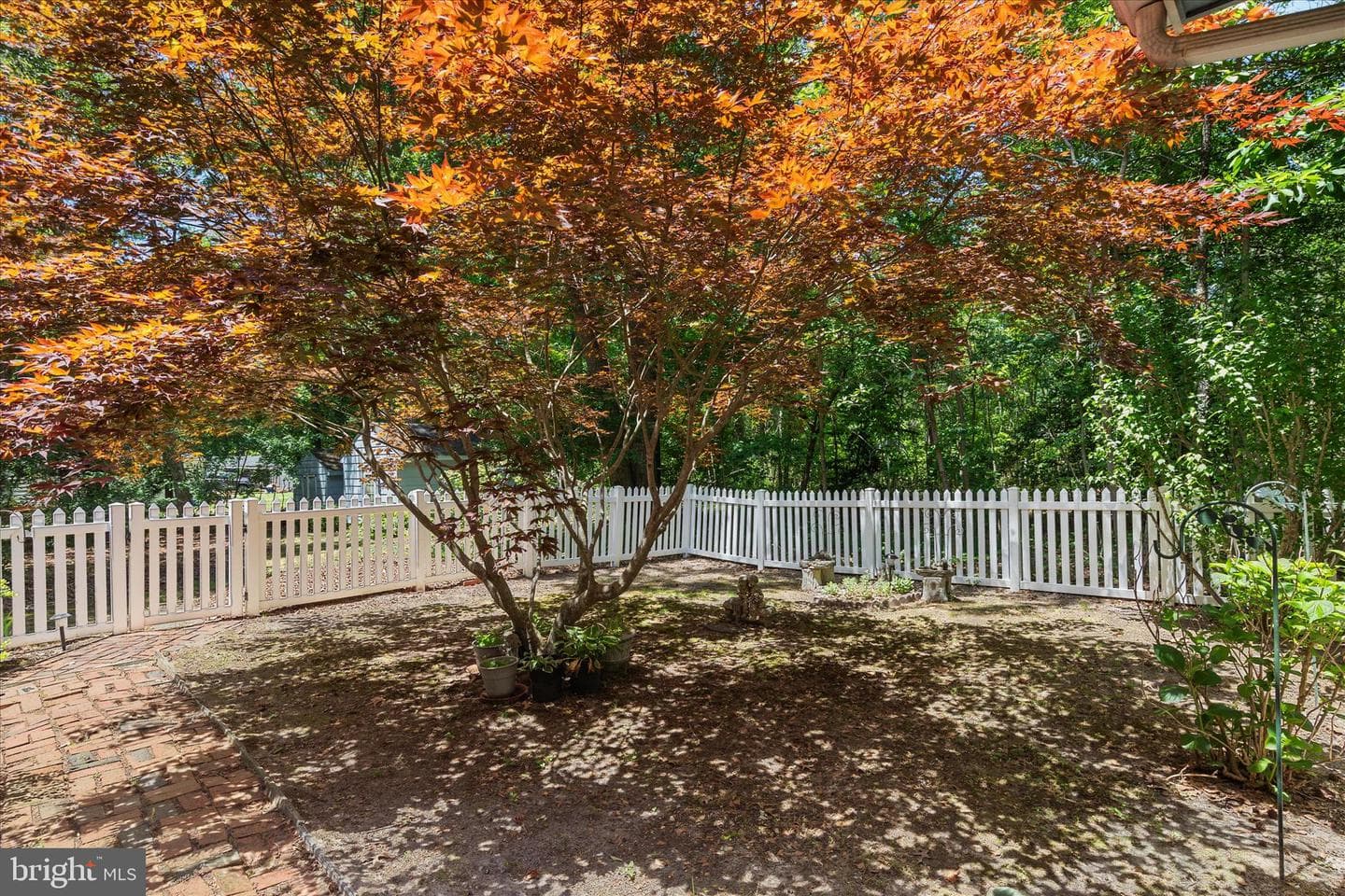 3821 Nassawango Hills Drive photo 42